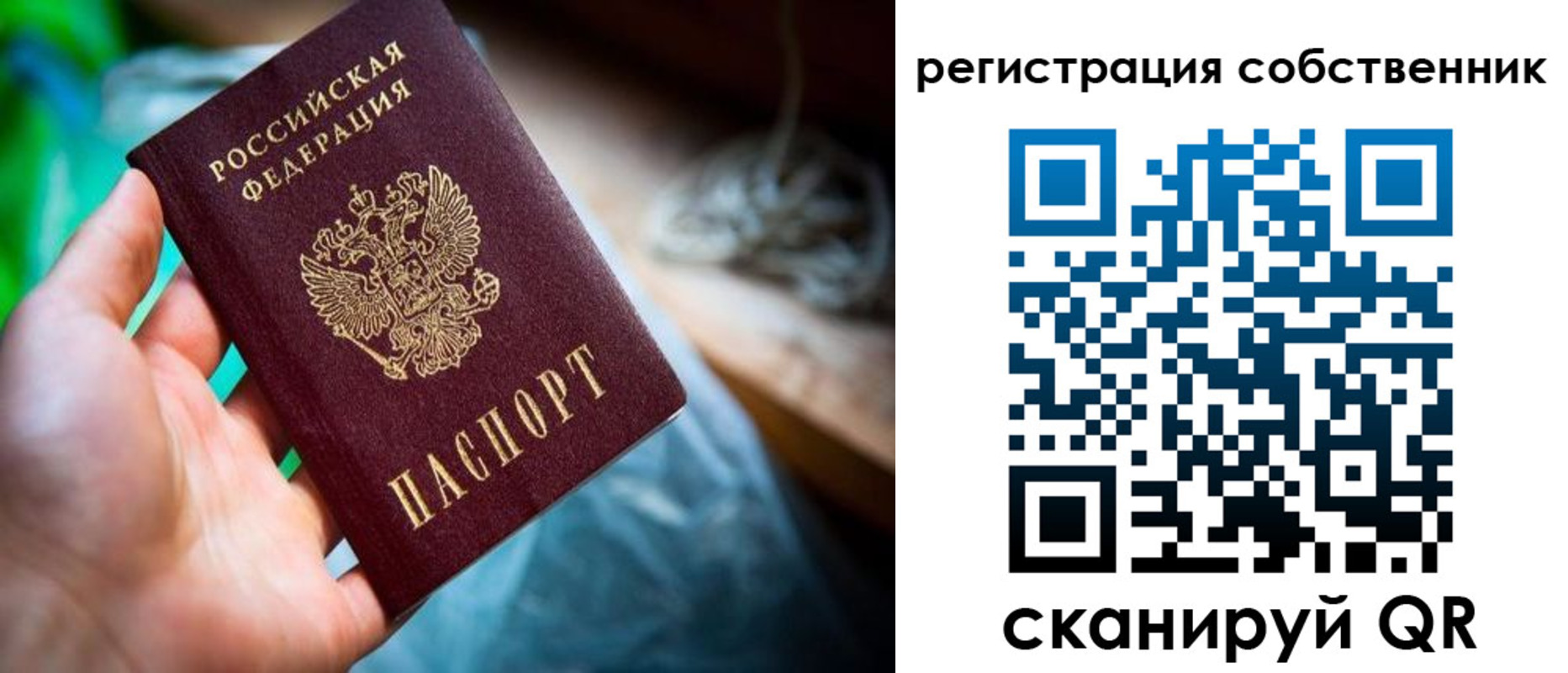 прописка гарантия в Первомайске